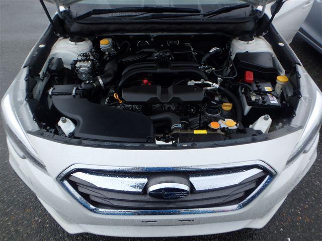 08.jpg