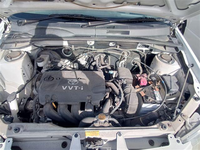 08.jpg