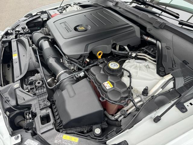 0404361A30250522W00104.jpg