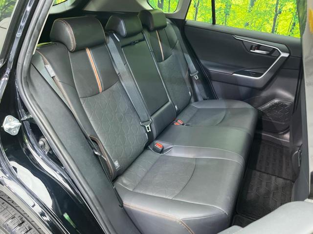 24219132_carP_l_19.jpg