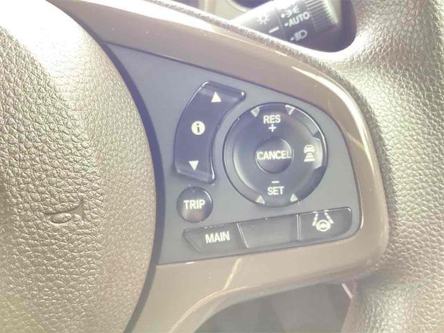 1301077A30260908W00206.jpg