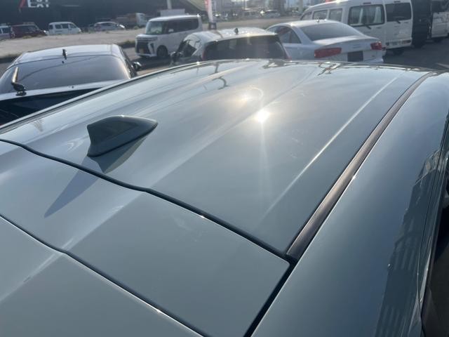 0720309A30260707W00215.jpg