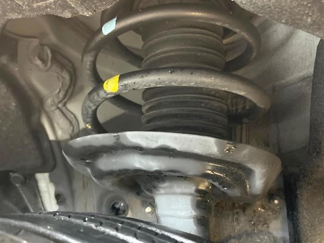 26126481_carP_l_16.jpg