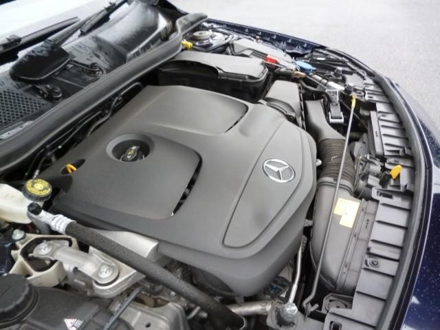 26084618_carP_l_17.jpg