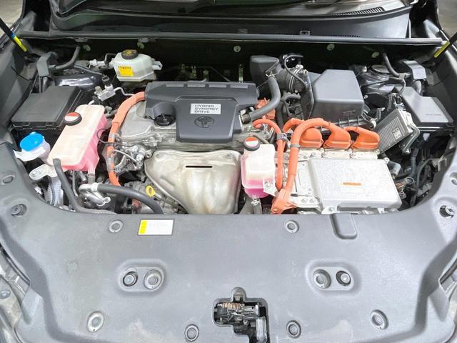 24891955_carP_l_18.jpg