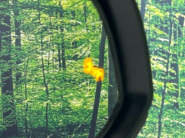 25774351_carP_l_19.jpg
