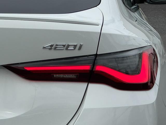 24219763_carP_l_9.jpg