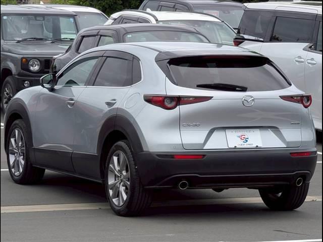 24233604_carP_l_11.jpg