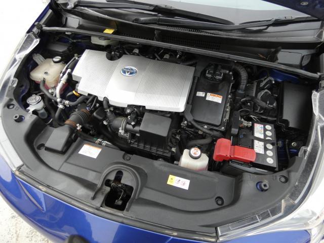 18218476_carP_l_9.jpg