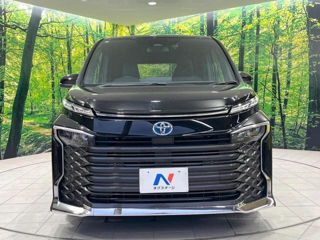 26750971_carP_l_9.jpg