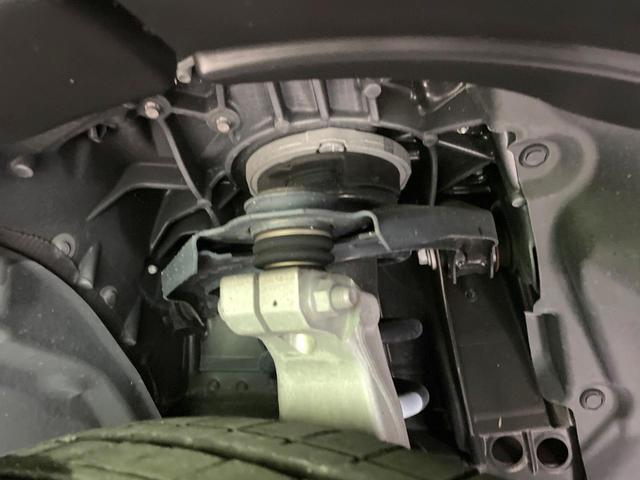 23735081_carP_l_20.jpg
