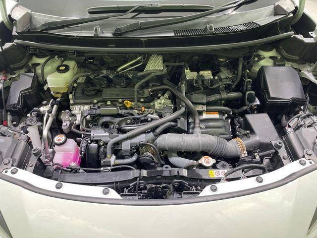 24892200_carP_l_16.jpg