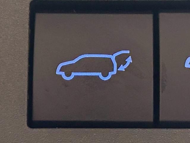 26349945_carP_l_14.jpg