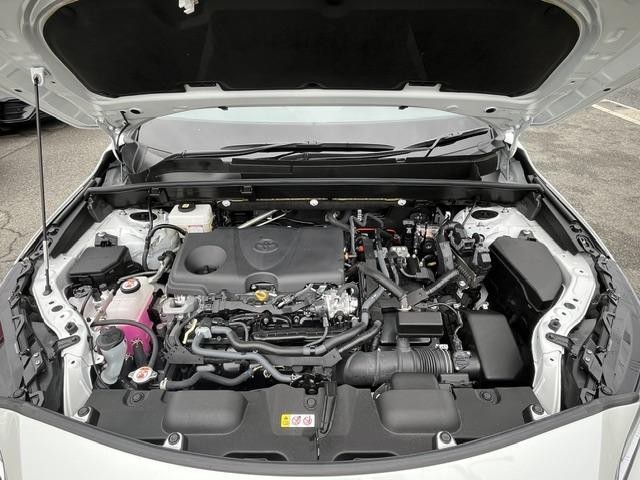 26902485_carP_l_17.jpg