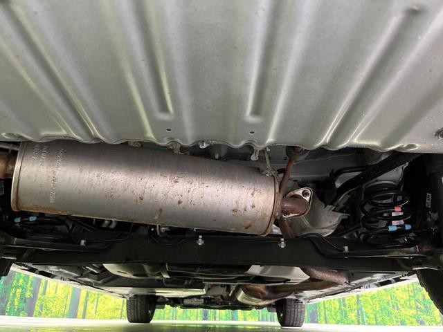 25425569_carP_l_18.jpg
