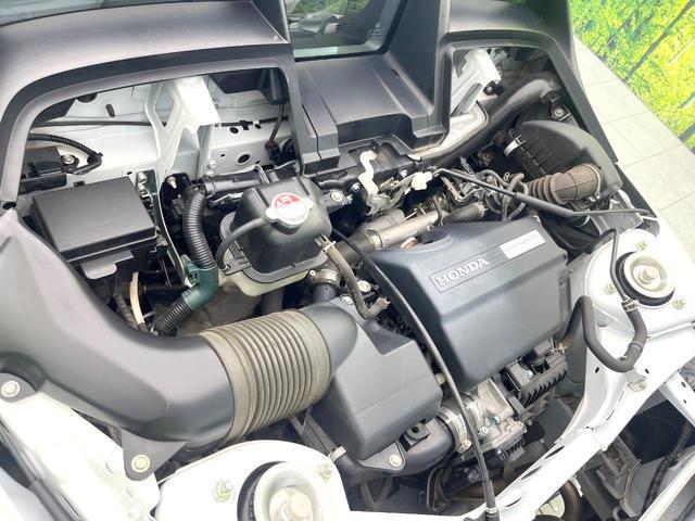 24581747_carP_l_16.jpg