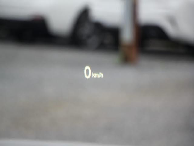 24095330_carP_l_13.jpg
