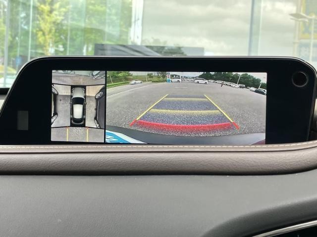 25041023_carP_l_6.jpg