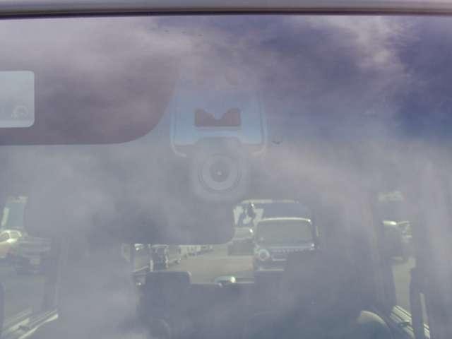 26625463_carP_l_6.jpg