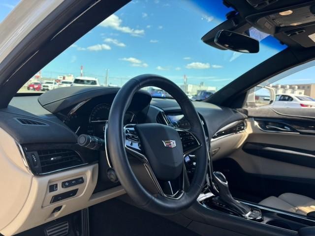 26907751_carP_l_8.jpg