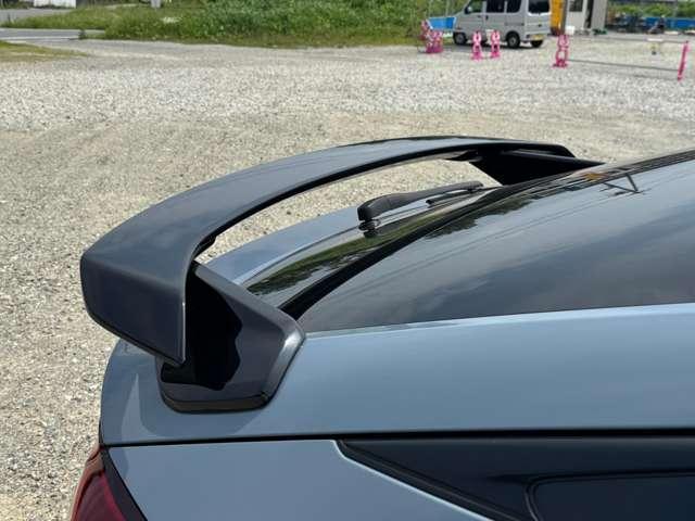 24892856_carP_l_6.jpg