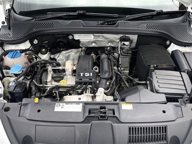 24897495_carP_l_17.jpg