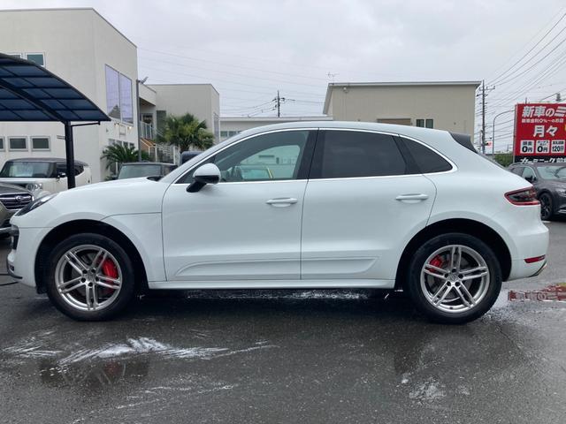 0403383A30260706W00411.jpg
