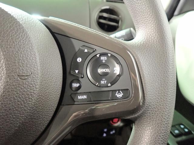 0201190A30260821W00806.jpg