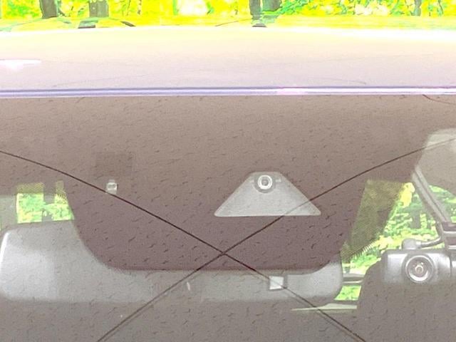 19739188_carP_l_15.jpg