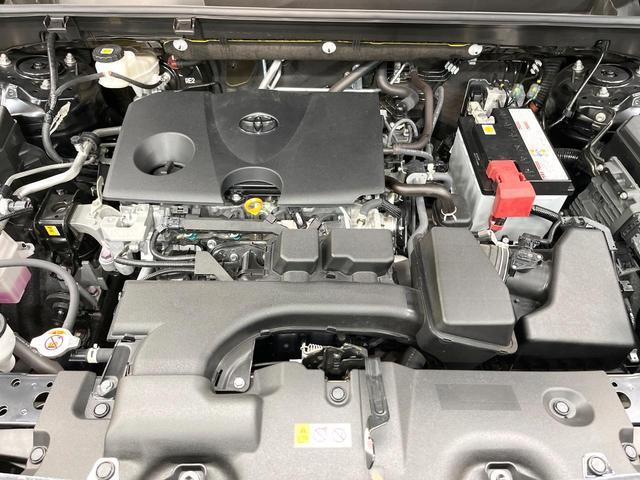 24581811_carP_l_20.jpg