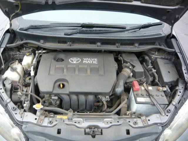 26628012_carP_l_17.jpg