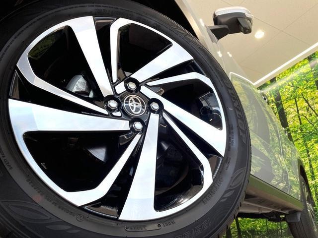 26085101_carP_l_7.jpg