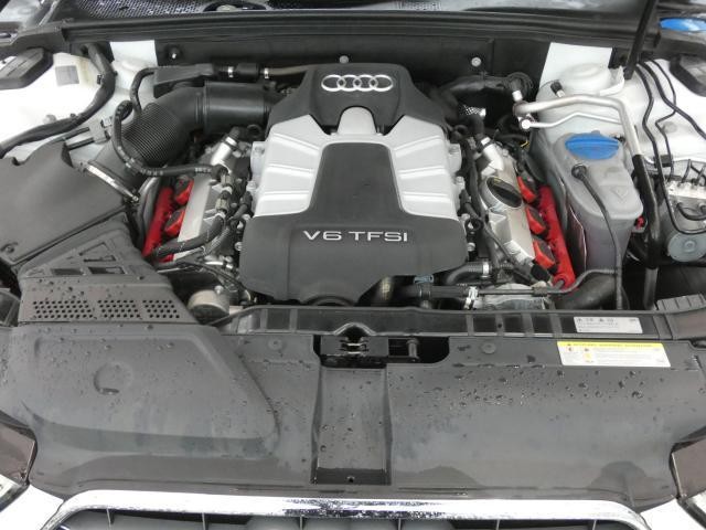 26599148_carP_l_16.jpg