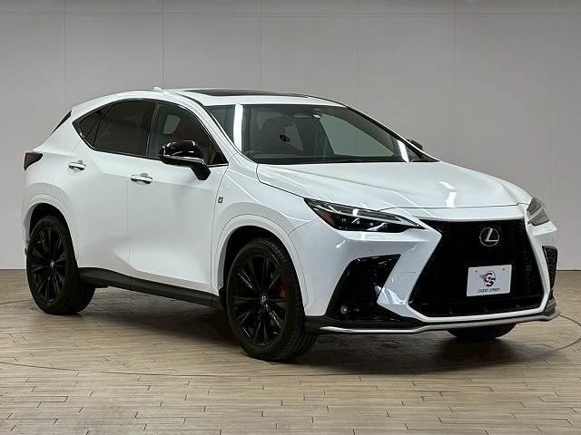 23143671_carP_l_8.jpg