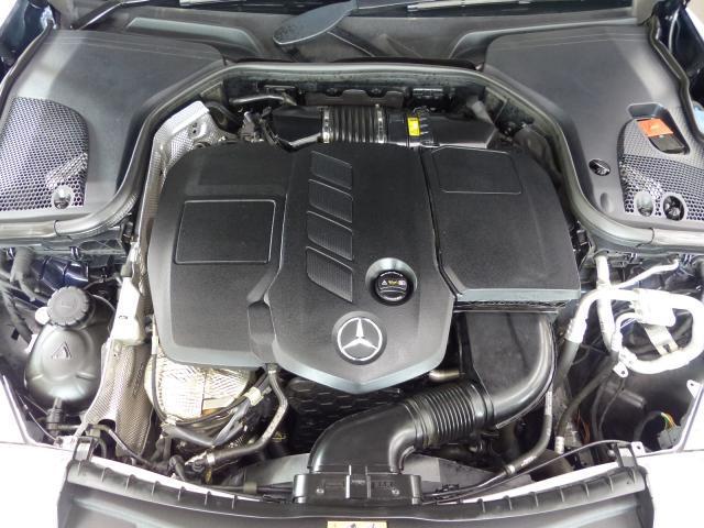 24111123_carP_l_20.jpg