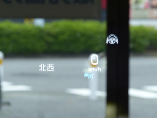 24111123_carP_l_7.jpg