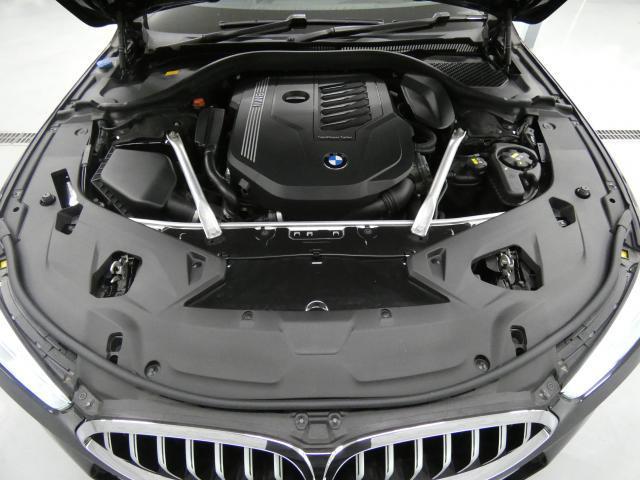 24111126_carP_l_20.jpg