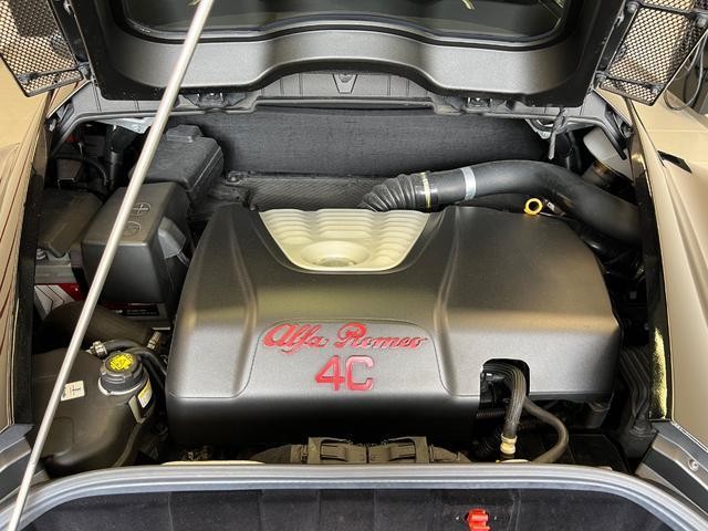 26085184_carP_l_4.jpg