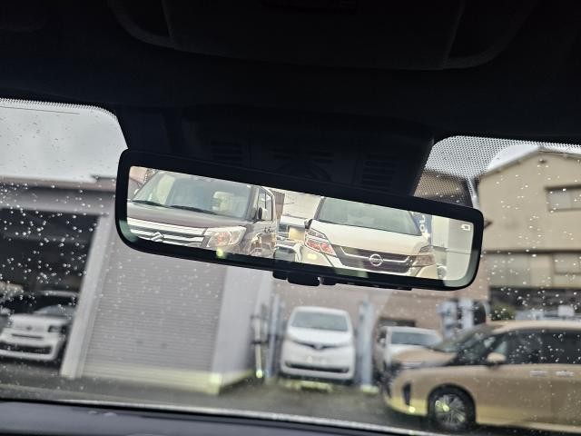 26756886_carP_l_5.jpg