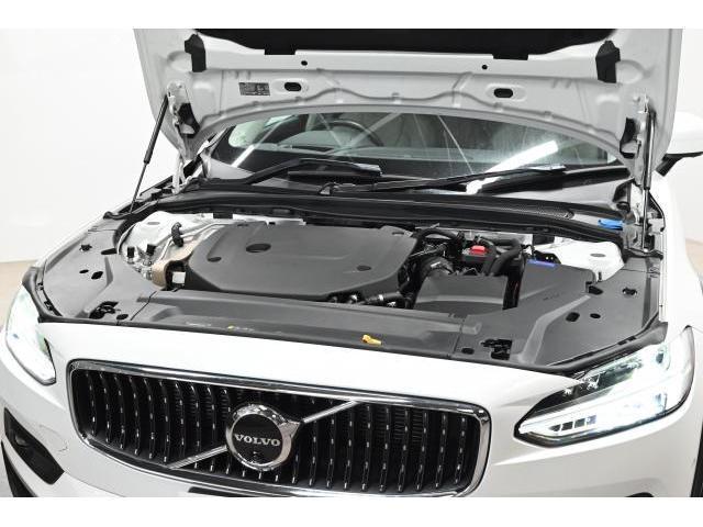 24907004_carP_l_12.jpg