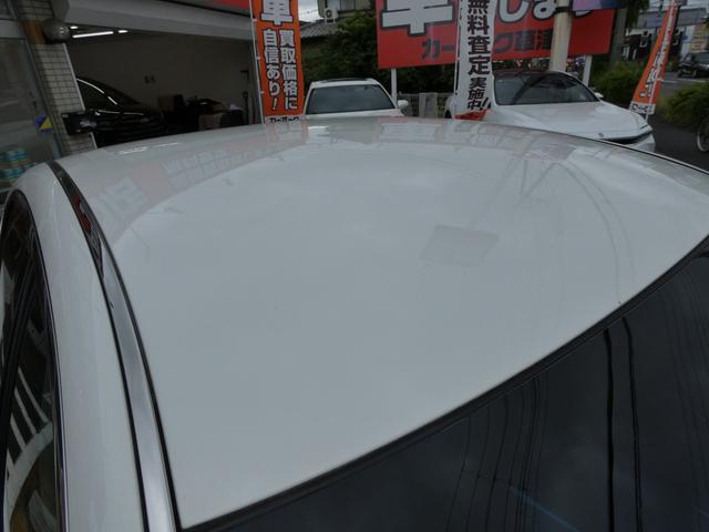 0710176A30260523W00116.jpg