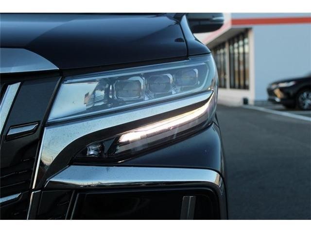 26751927_carP_l_20.jpg