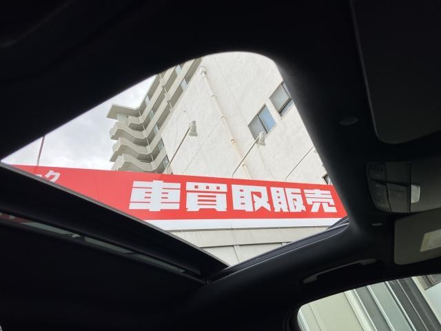 26579110_carP_l_19.jpg