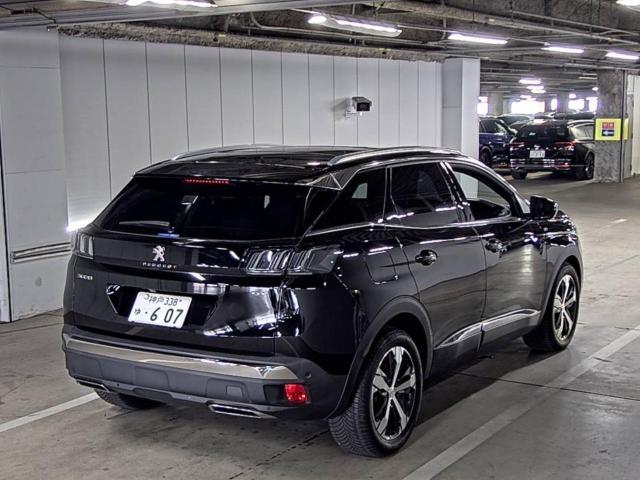 25009159_carP_l_3.jpg