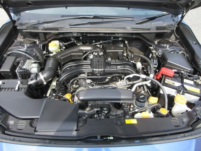 0530132A30260826W00411.jpg