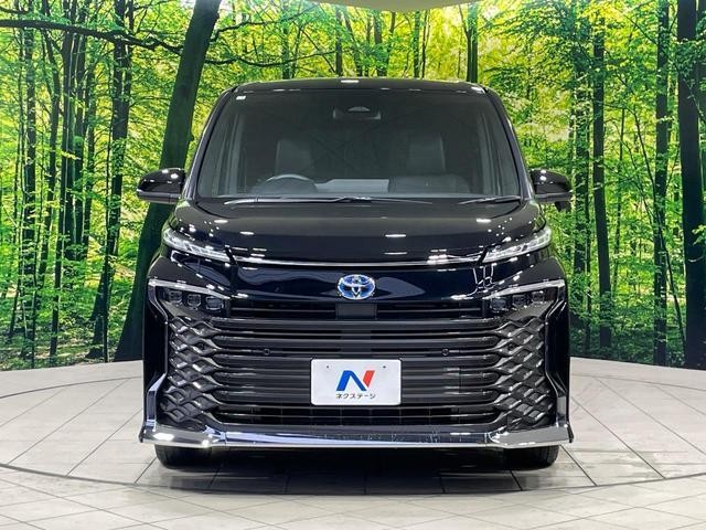 26127129_carP_l_9.jpg