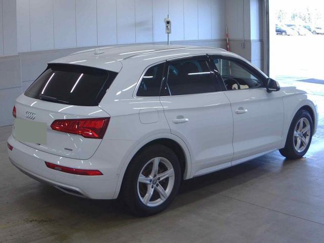 24083578_carP_l_10.jpg