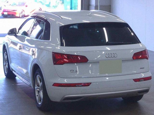 24083578_carP_l_3.jpg