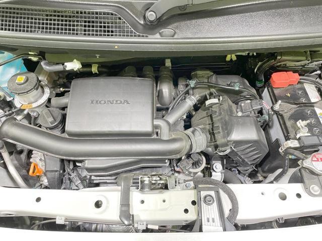 25774680_carP_l_18.jpg