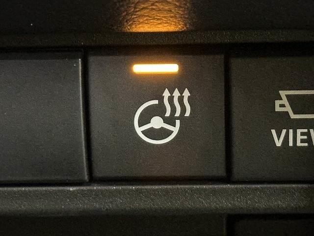 0207973A20261001D00507.jpg